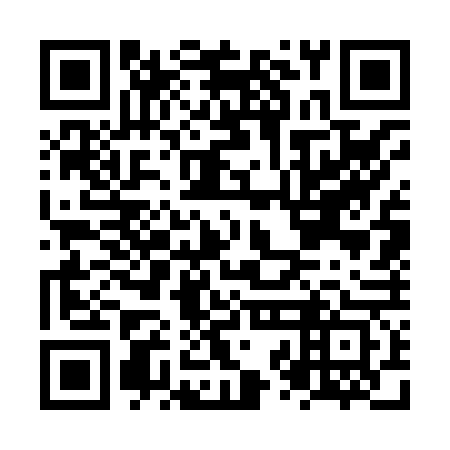 QR code for NZG 863