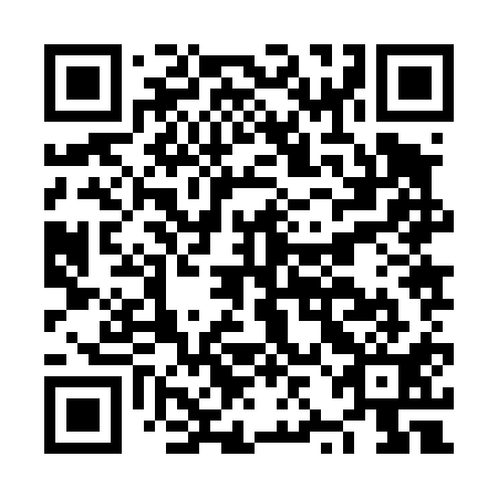 QR code for plate NZJ 411