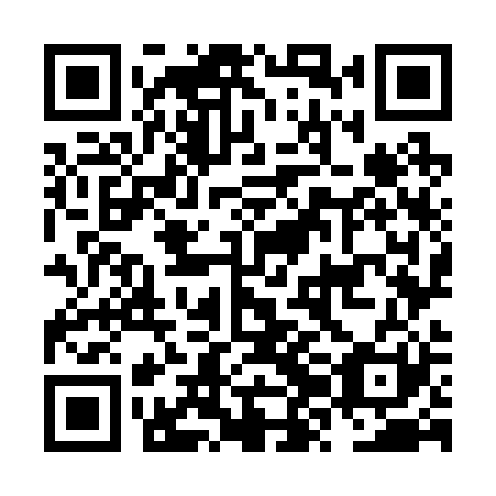 QR code for plate NZO 221