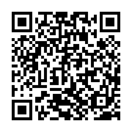 QR code for plate NZP 013