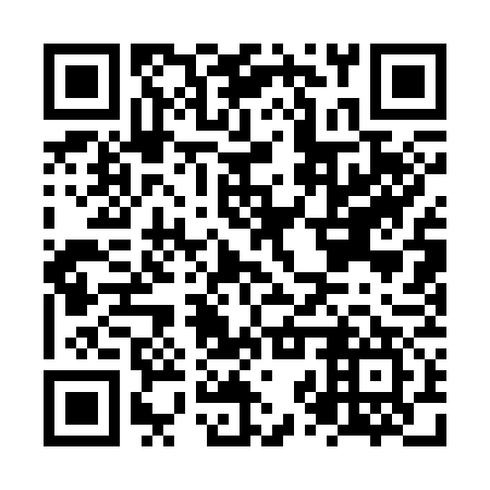 QR code for plate NZQ 377