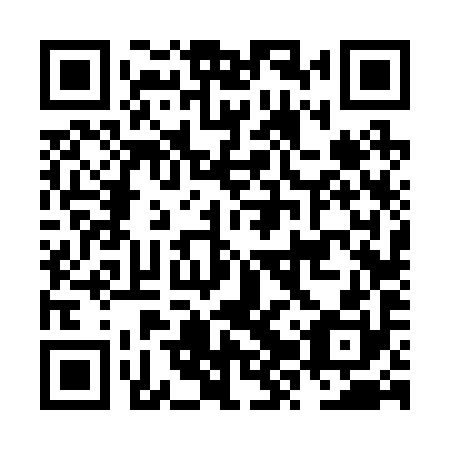 QR code for NZV 290