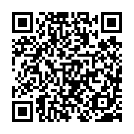 QR code for plate OAX 690