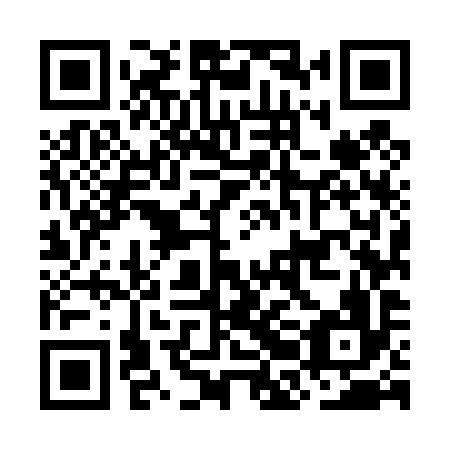 QR code for plate OBM 496