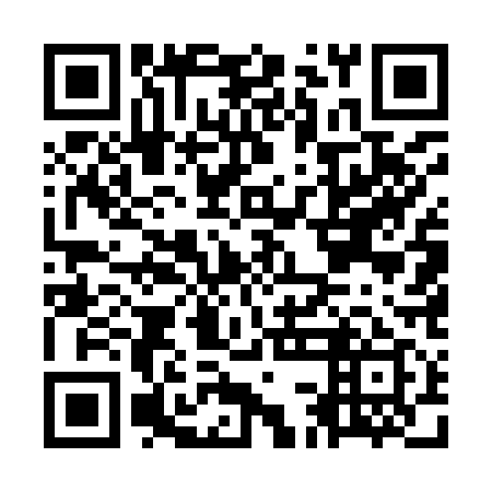 QR code for OCE 919