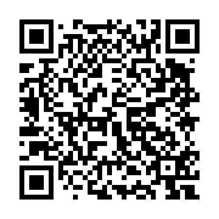 QR code for ODI 411