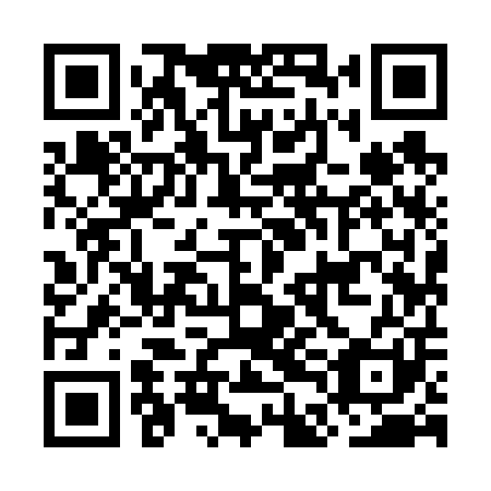 QR code for ODI 601