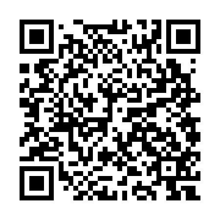 QR code for plate ODV 313