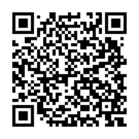 QR code for plate OED 641