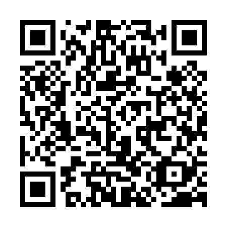 QR code for plate OEM 029