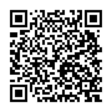 QR code for plate OEO 613