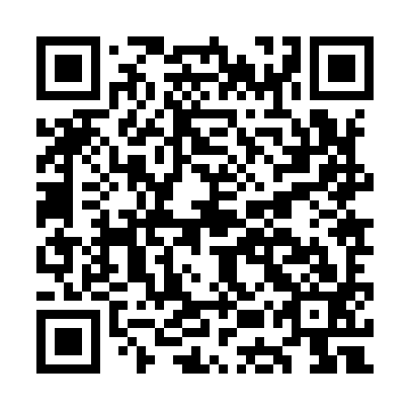 QR code for plate OEZ 993