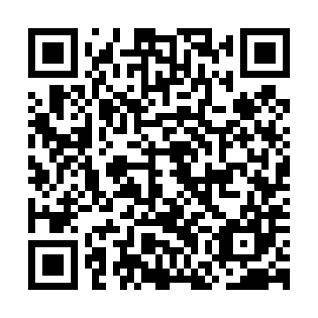 QR code for plate OGG 487
