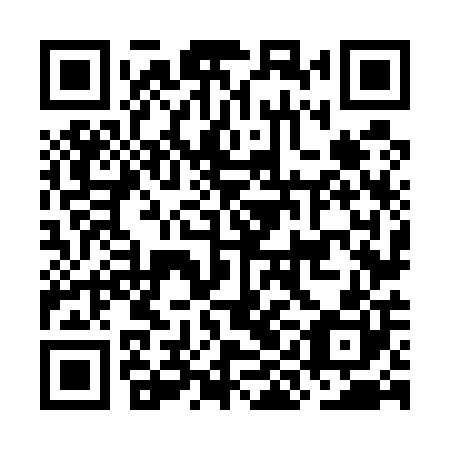QR code for plate OIN 500