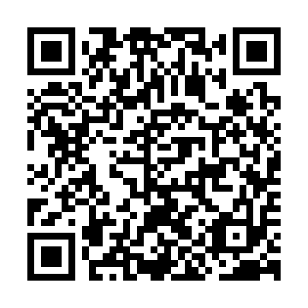 QR code for OIS 313