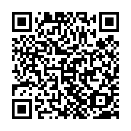QR code for plate OJG 489