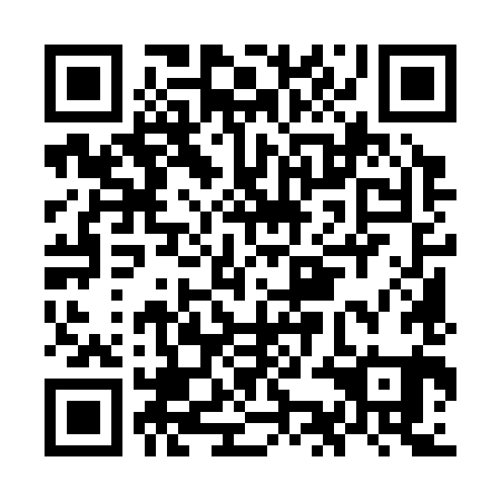 QR code for OKM381