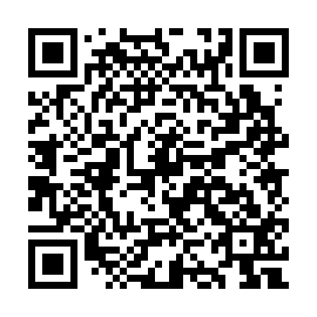 QR code for OKP313