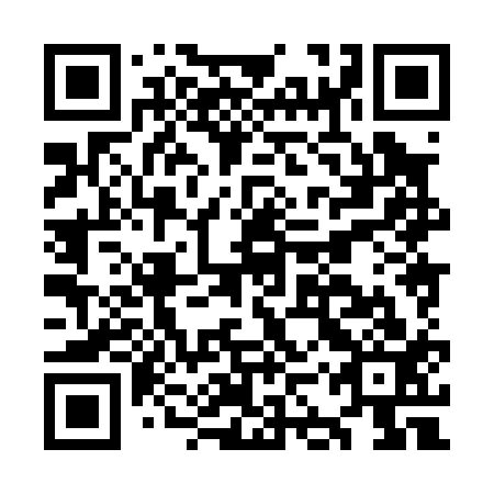 QR code for plate OKX 013