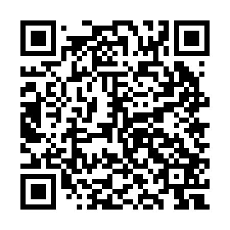 QR code for plate OLE 203
