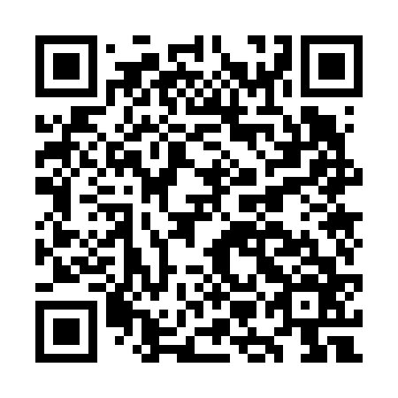 QR code for OMO 666