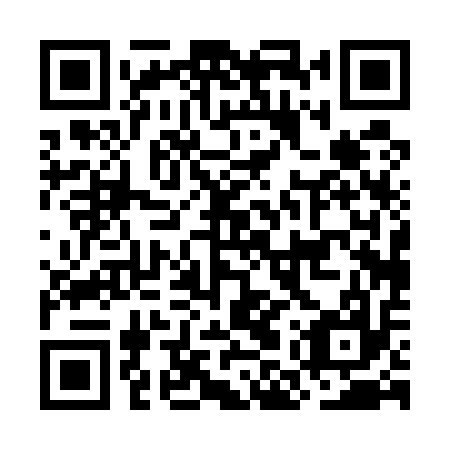 QR code for plate OMP 517