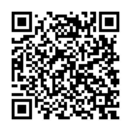 QR code for plate OOV 920