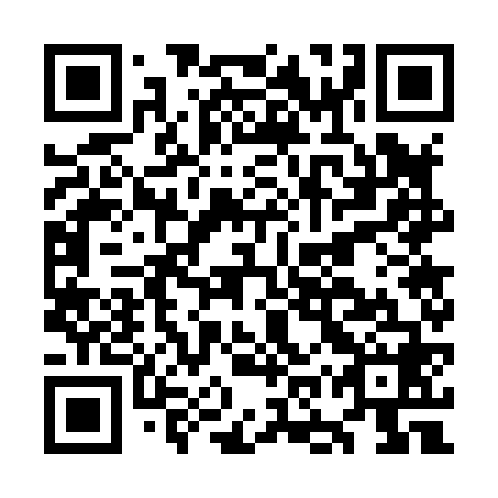 QR code for OOW 868