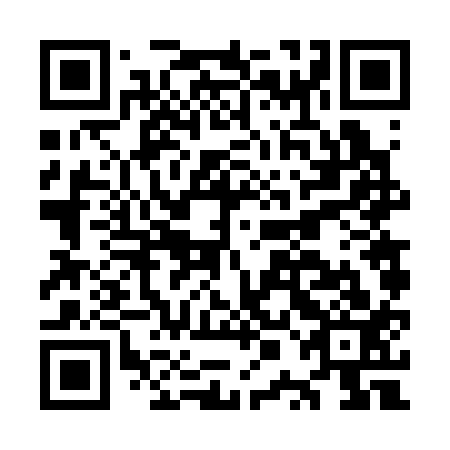 QR code for OPF 313
