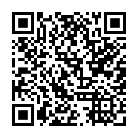 QR code for OSE 339