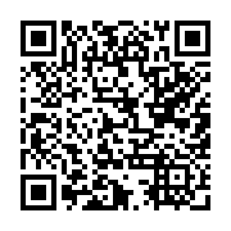 QR code for OSE333
