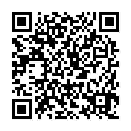 QR code for OSP 384