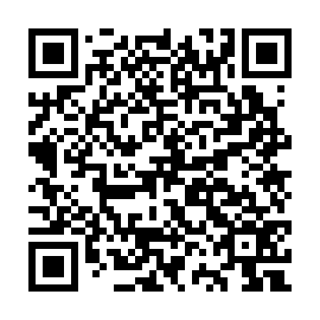 QR code for OVO 376