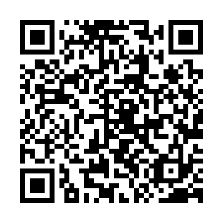 QR code for OWL333