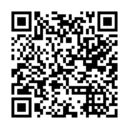 QR code for plate OWM 317