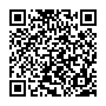 QR code for plate OWO 036