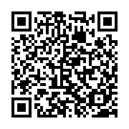 QR code for OZU 385