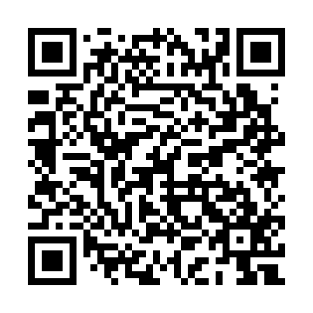 QR code for PAA 317