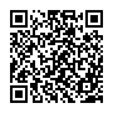 QR code for PAA246