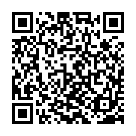 QR code for plate PAB 913