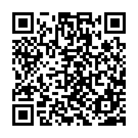 QR code for plate PAD 306