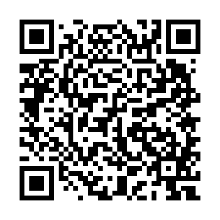 QR code for PAE 685