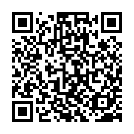 QR code for plate PAE 181