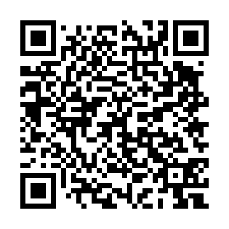 QR code for plate PAE 430