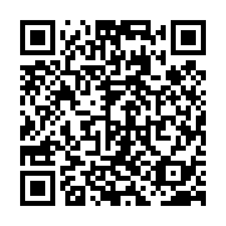 QR code for PAE439