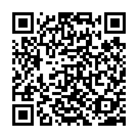 QR code for PAG 609