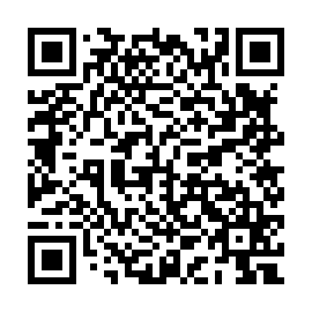 QR code for PAG 865