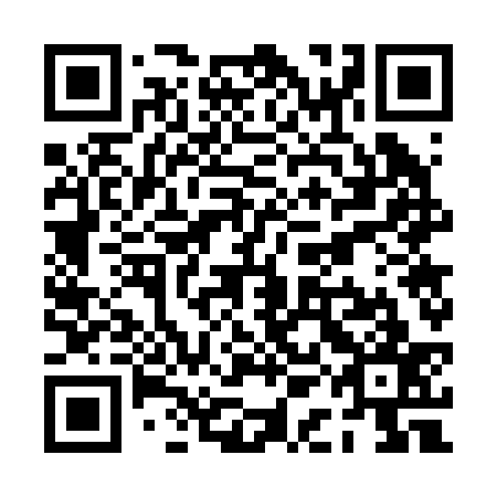 QR code for PAG237