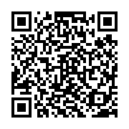 QR code for PAJ 619