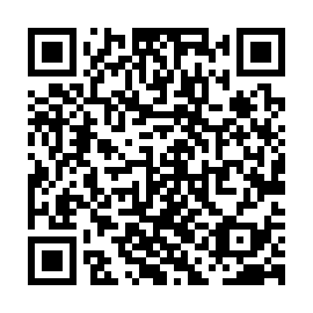 QR code for PAL 339